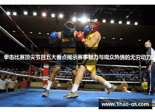 拳击比赛顶尖节目五大看点揭示赛事魅力与观众热情的无穷动力